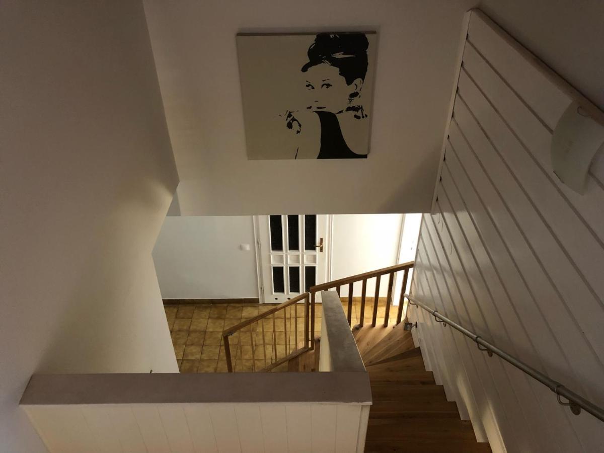 Homestay Sloneczne Pokoje W Parku