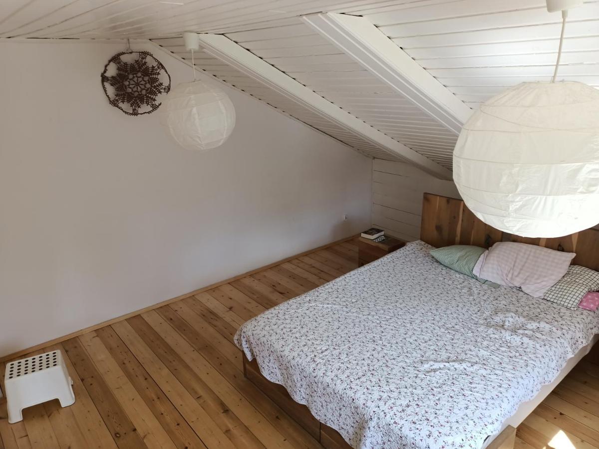 Sloneczne Pokoje W Parku Homestay Krakow